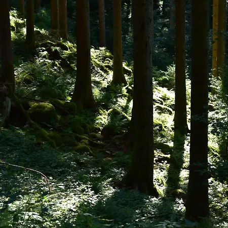 Holiday home Nordschwarzwald Neuweiler (Calw)