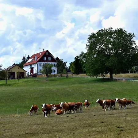 Nordschwarzwald * Neuweiler (Calw)