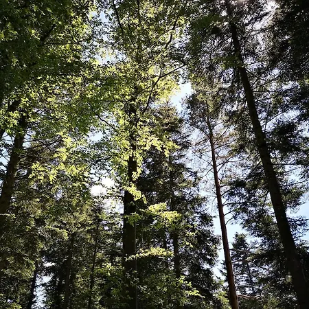 Nordschwarzwald Holiday home