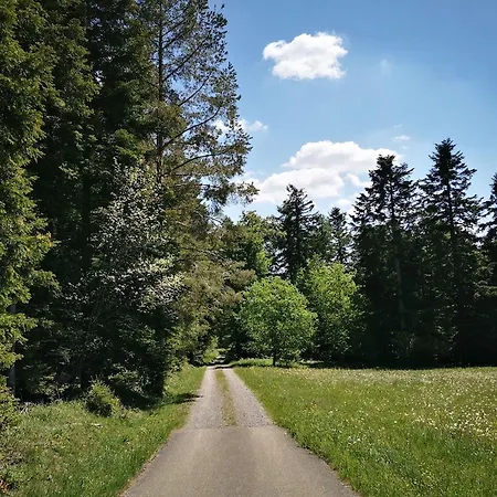 Nordschwarzwald Holiday home *