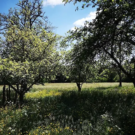 Holiday home Nordschwarzwald *